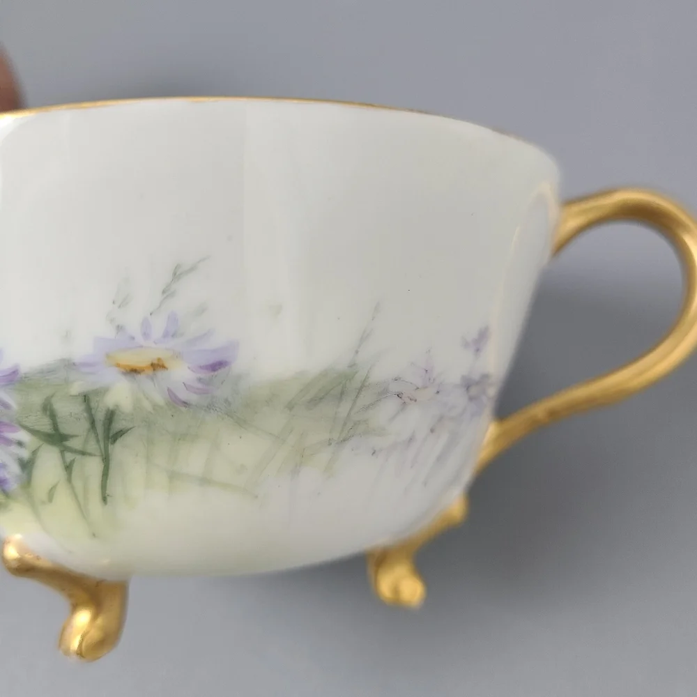 W.G. Co. France Hand Painted Porcelain Gold Footed Vintage Teacup